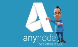 美国VPS anyNode 推荐 - 拥有CN2 GIA线路且价格便宜