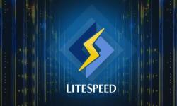 I/O Zoom 建站VPS推荐 - LiteSpeed Web服务器 - 速度超快